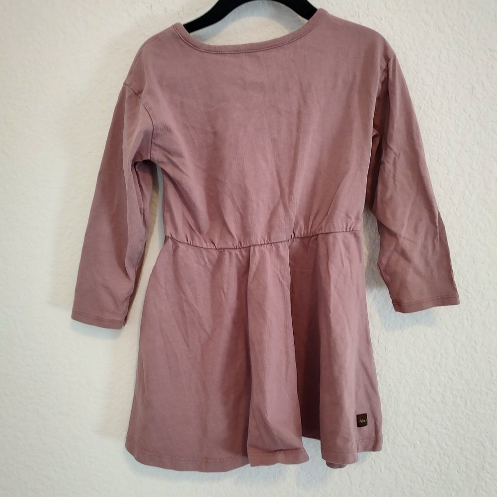 Tea Collection 3 3T Dress Long Sleeve Skater Twirl Floral Fall Winter - Picture 3 of 6